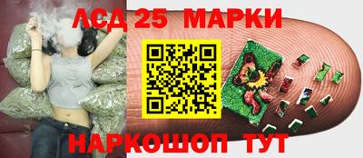 прущие грибы Каменск-Уральский