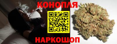 прущие грибы Каменск-Уральский