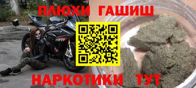 прущие грибы Каменск-Уральский